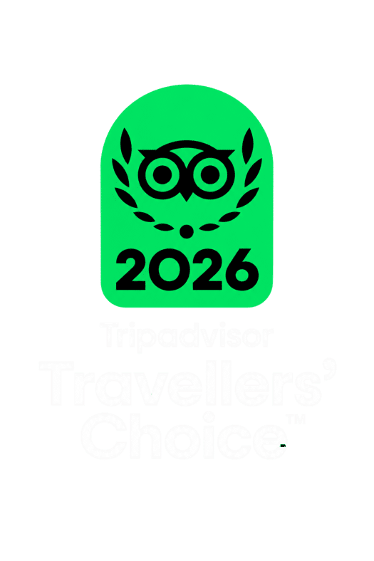 tripadvisor 1 1