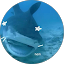 JxiAndy Avatar