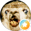 mauricio clop Avatar